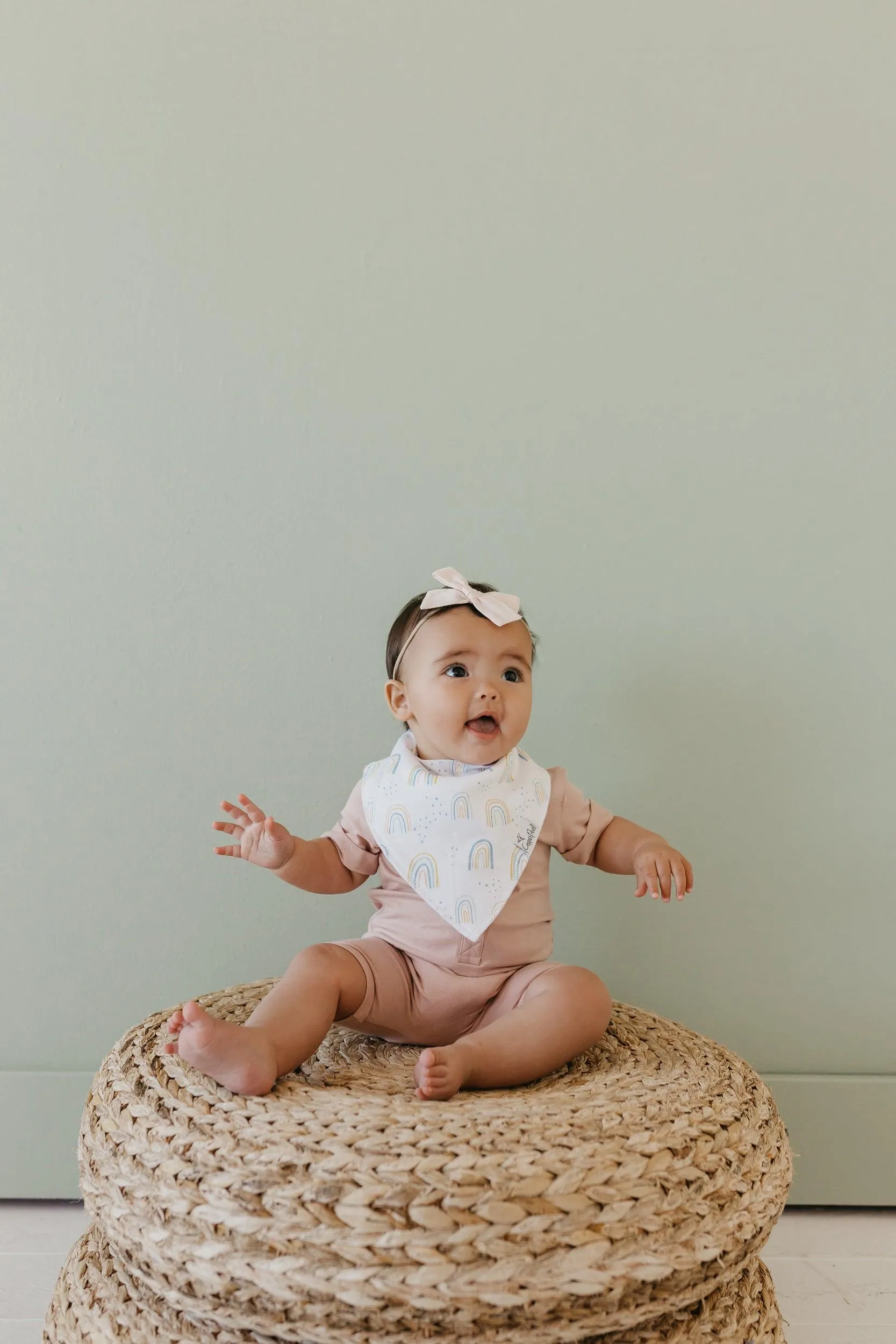 Baby Bandana Bibs - Whimsy