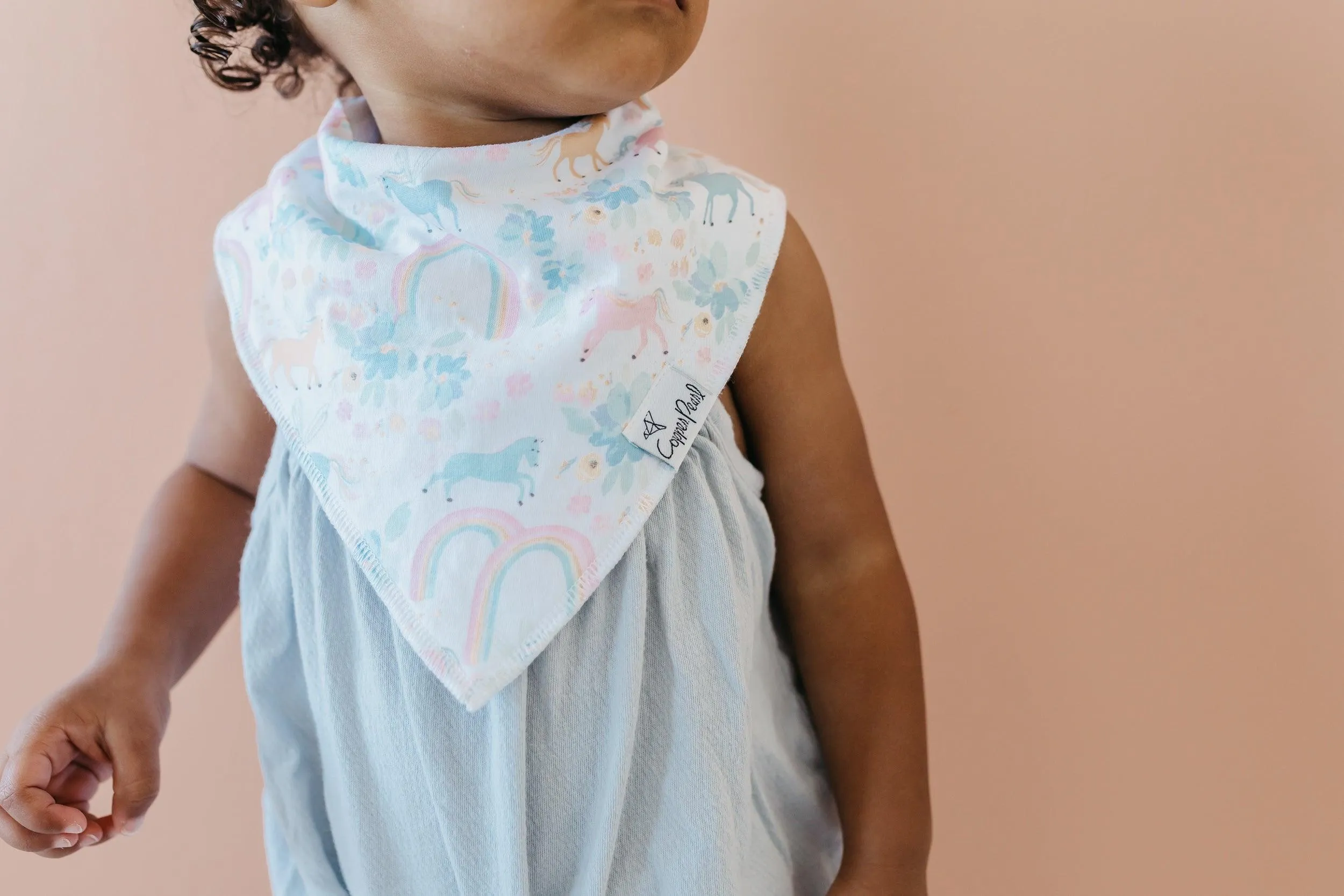 Baby Bandana Bibs - Whimsy