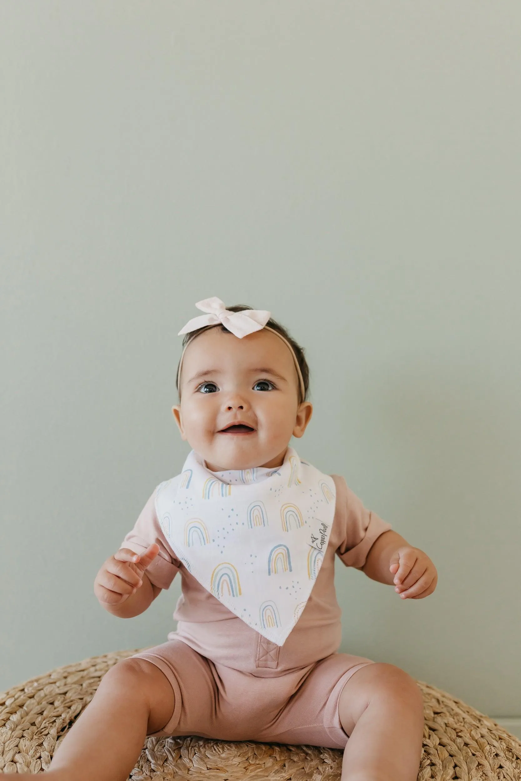 Baby Bandana Bibs - Whimsy