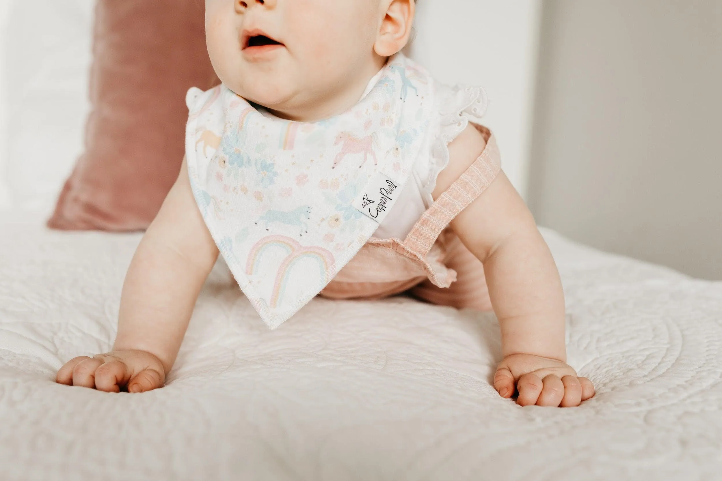 Baby Bandana Bibs - Whimsy