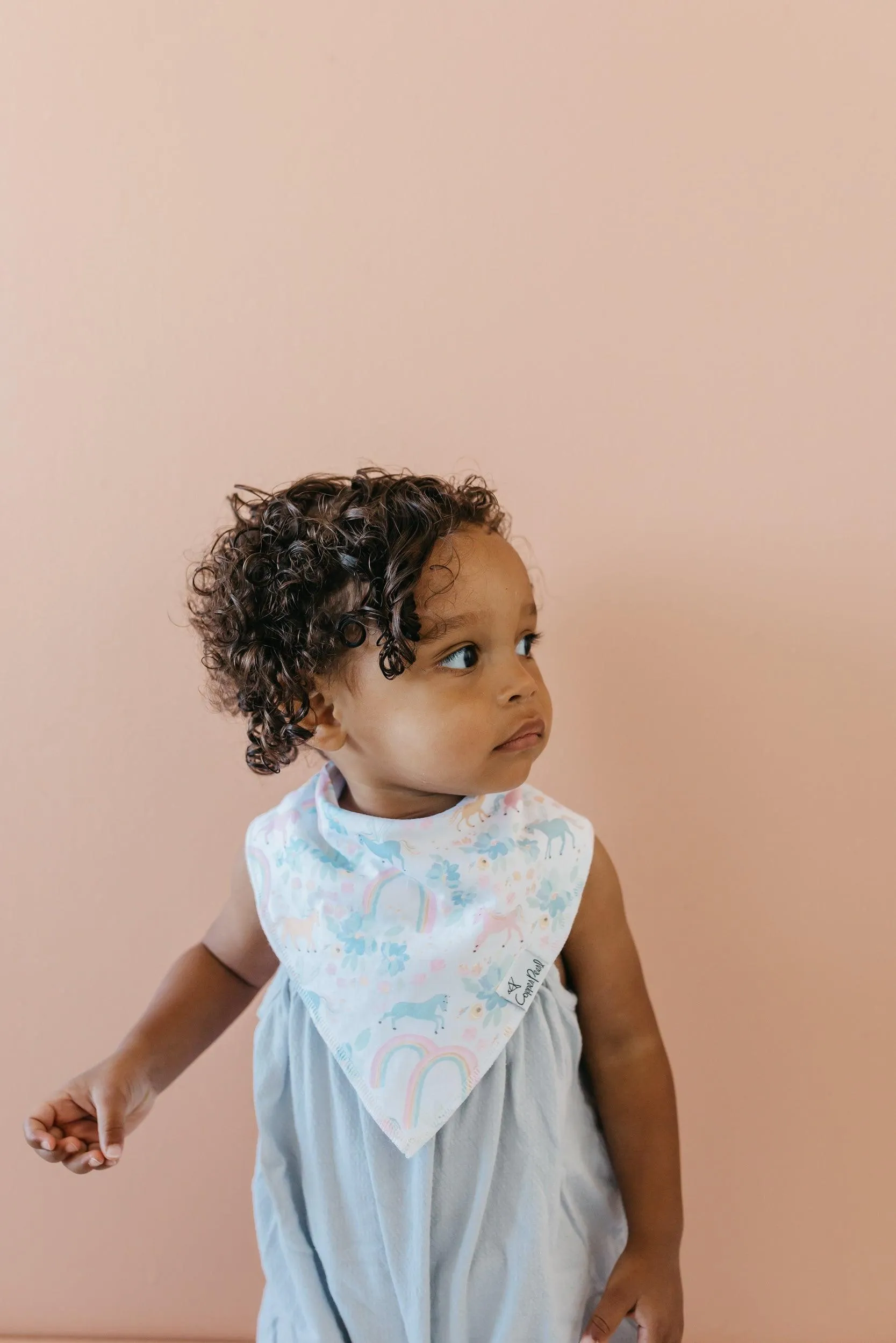 Baby Bandana Bibs - Whimsy