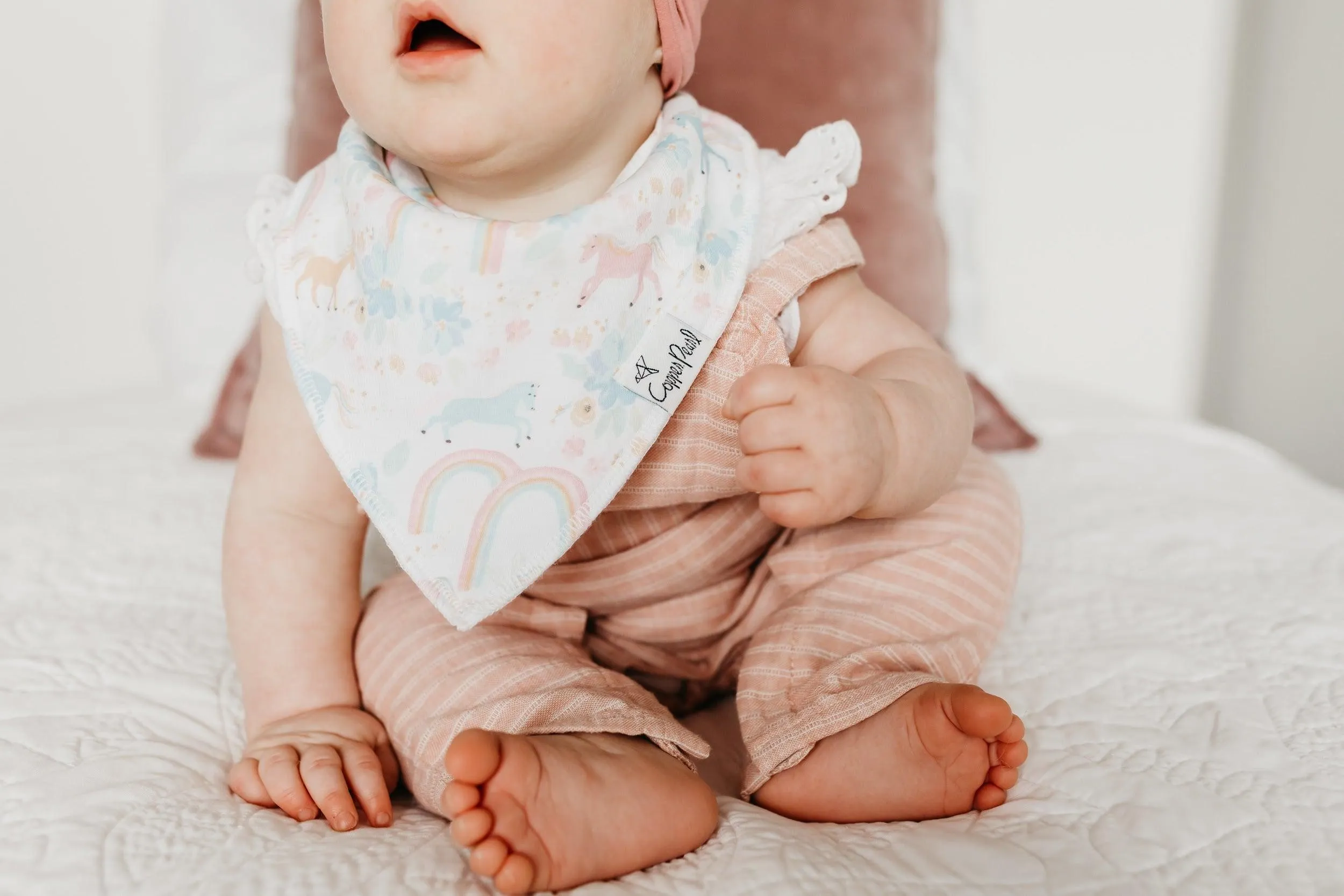 Baby Bandana Bibs - Whimsy