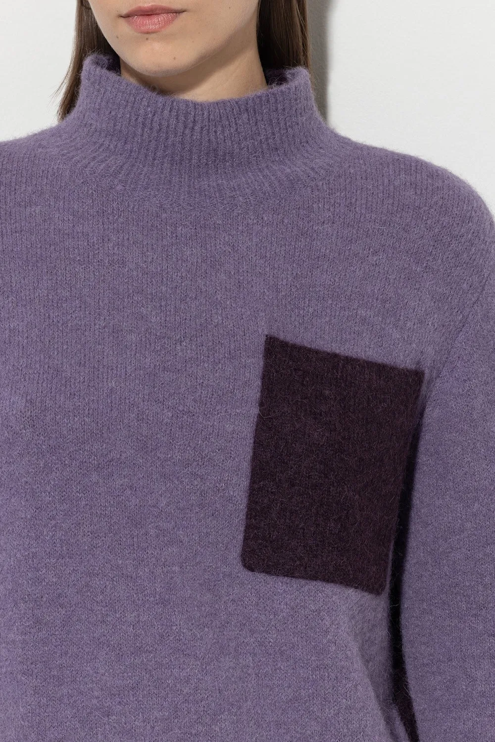 Mauve & Burgundy Contrast Turtleneck Sweater