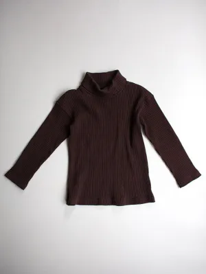 The Simple Folk Ribbed Turtleneck | Chocolate